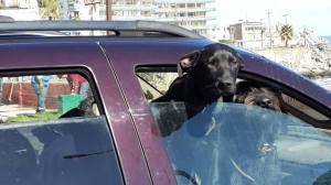 10521903_10152609816261113_6719445437038389779_n